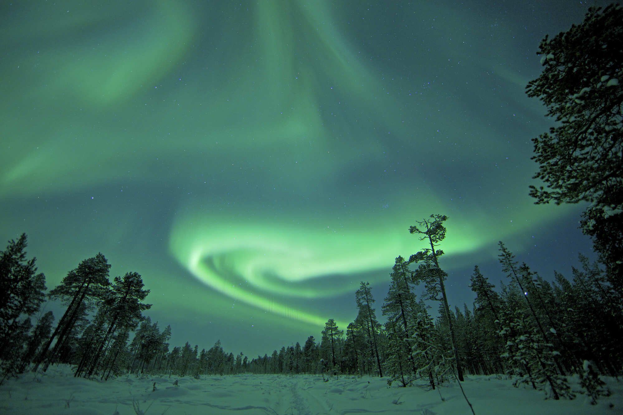 The Northern Lights swirling above a snowy landscape