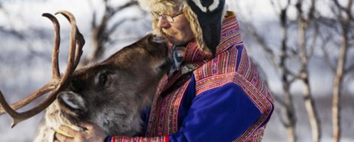 A Sami herder and a reindeer