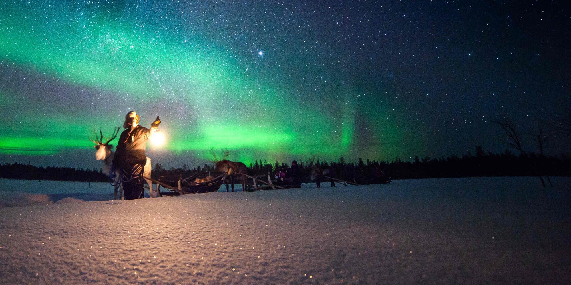 A man leading a line of reindeer-guided sleighs beneath the Northern Lights