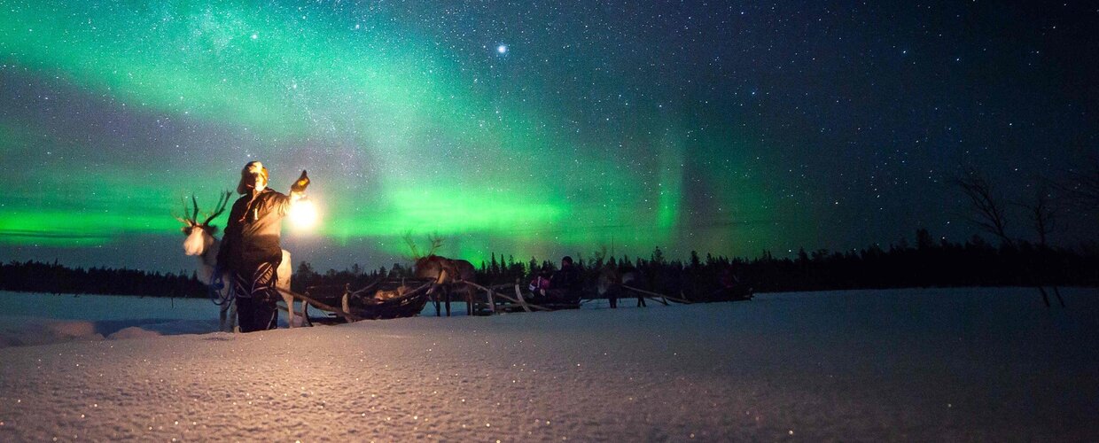 A man leading a line of reindeer-guided sleighs beneath the Northern Lights