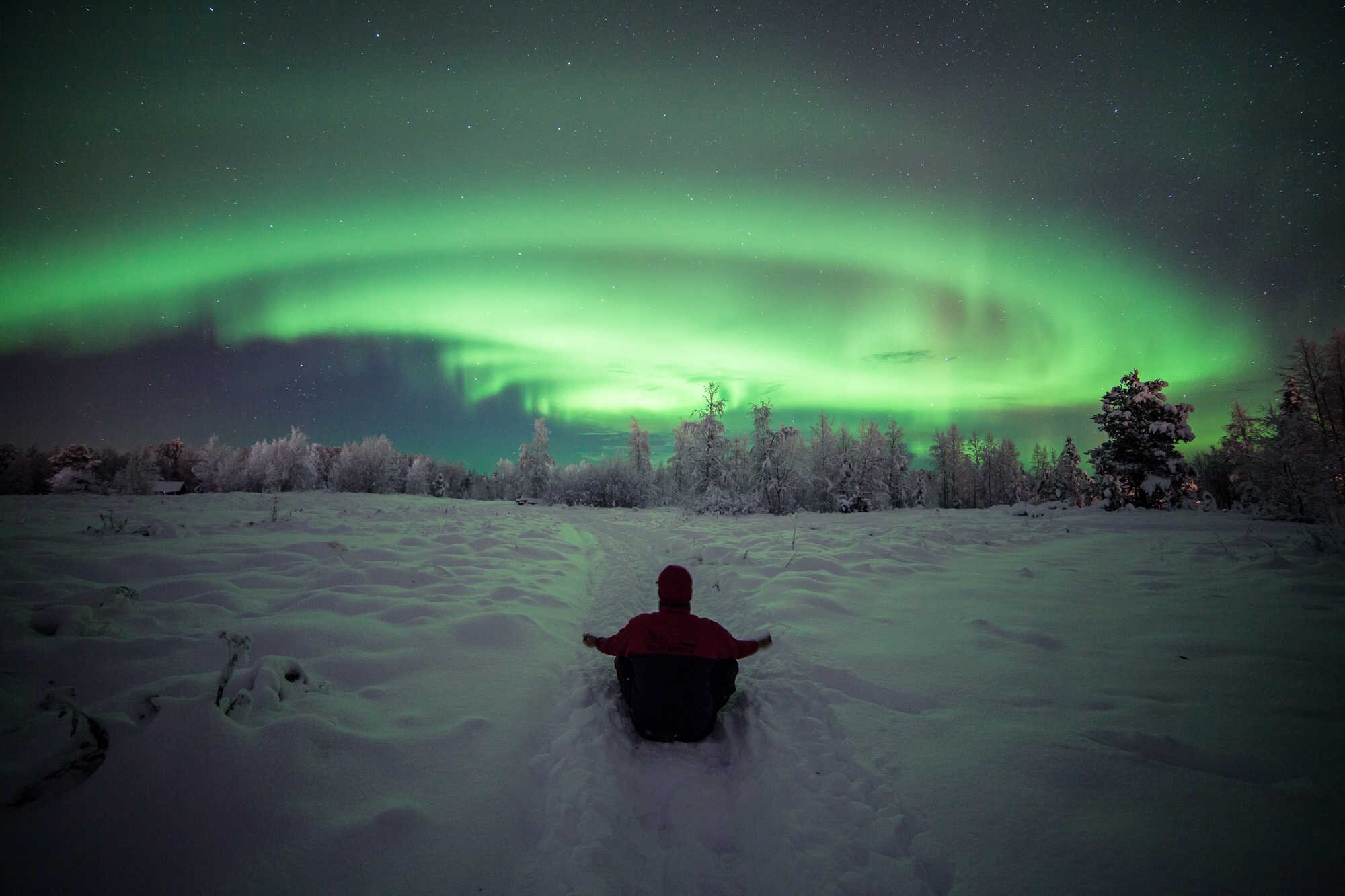 A person admiring the Northern Lights