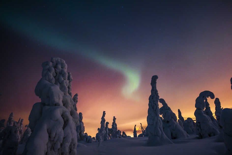 The other-worldly aurora above snow-covered trees