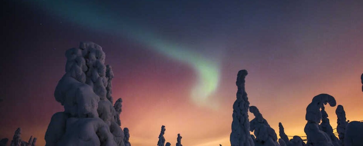The other-worldly aurora above snow-covered trees