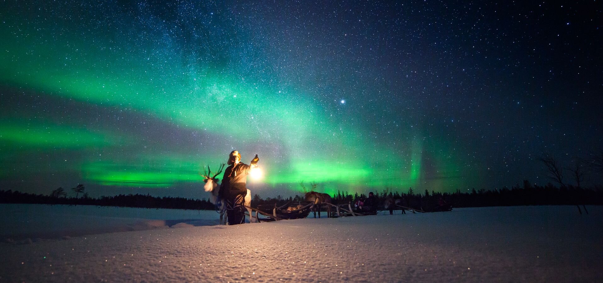 A man leading a line of reindeer-guided sleighs beneath the Northern Lights