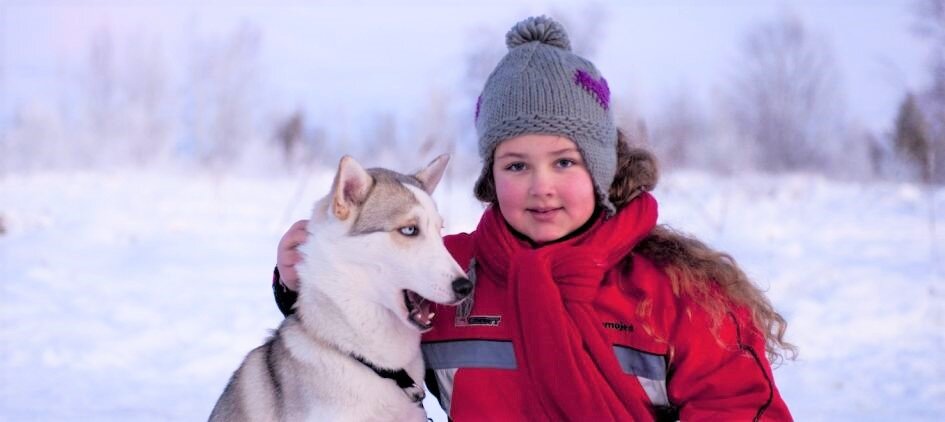 A girl makes friends with a husky sled dog