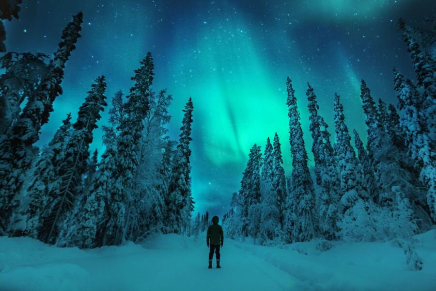 Man watching Northern Lights in a forest
