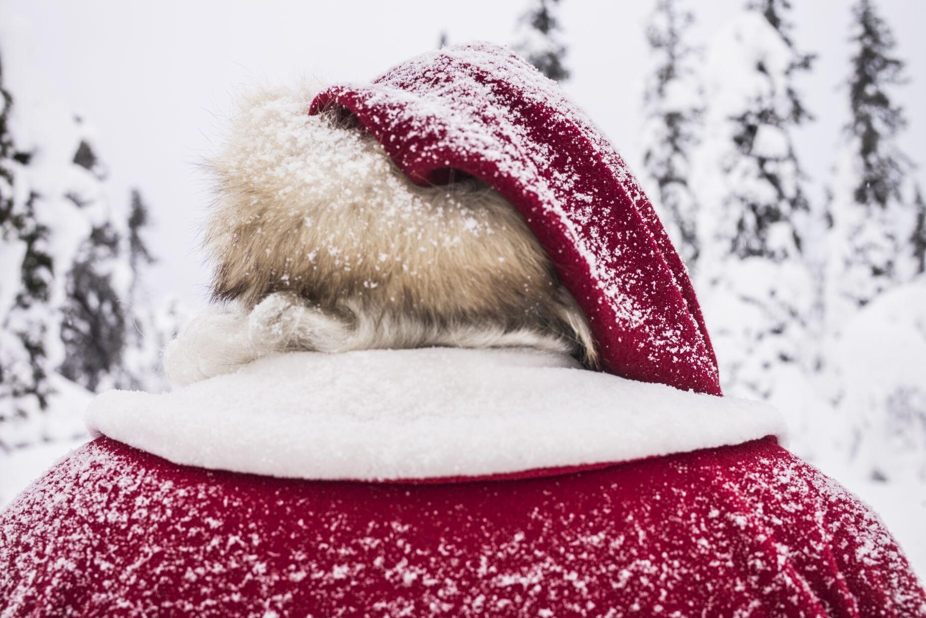 Santa out in a snowy landscape