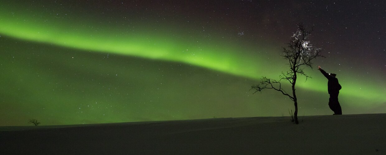 A person admiring the Northern Lights