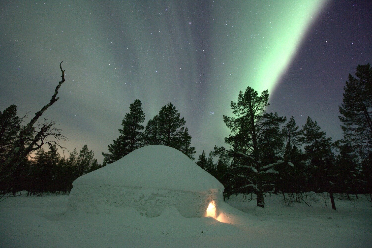 A snow igloo beneath the Northern Lights