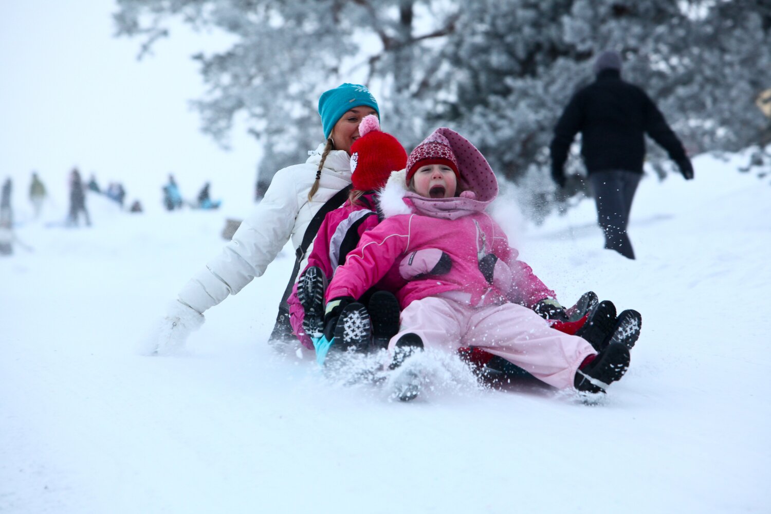 A family going down a hill on a toboggan