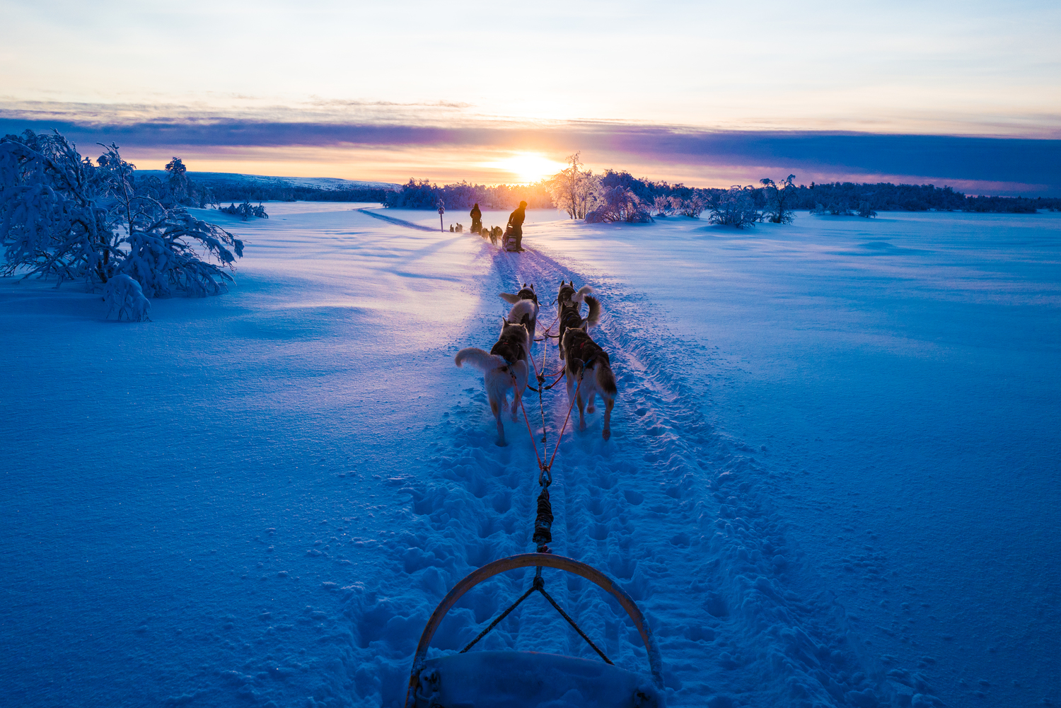 A line of husky sleds being mushed onward toward the setting sun