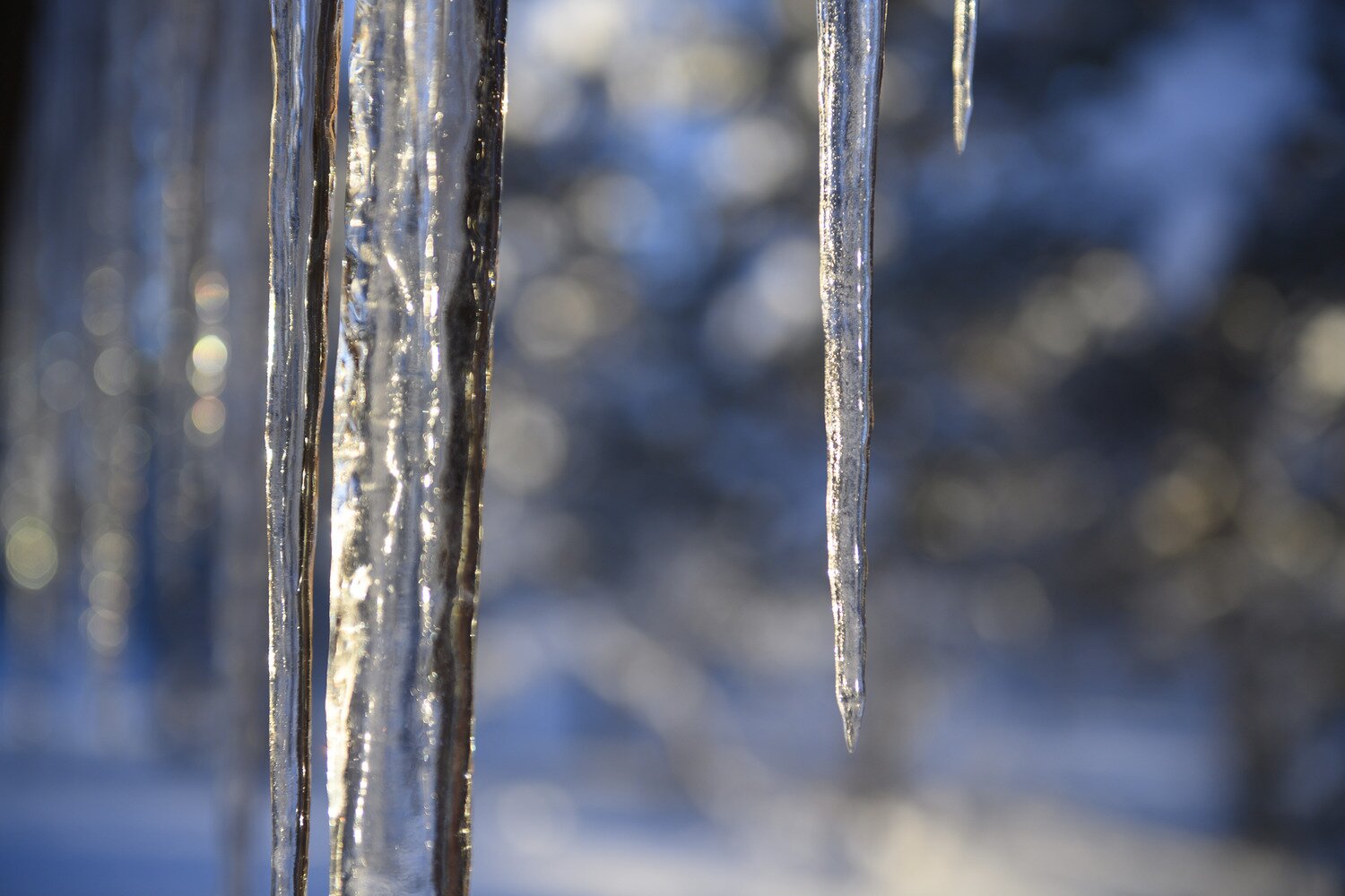 Giant icicles line the roof of a cabin