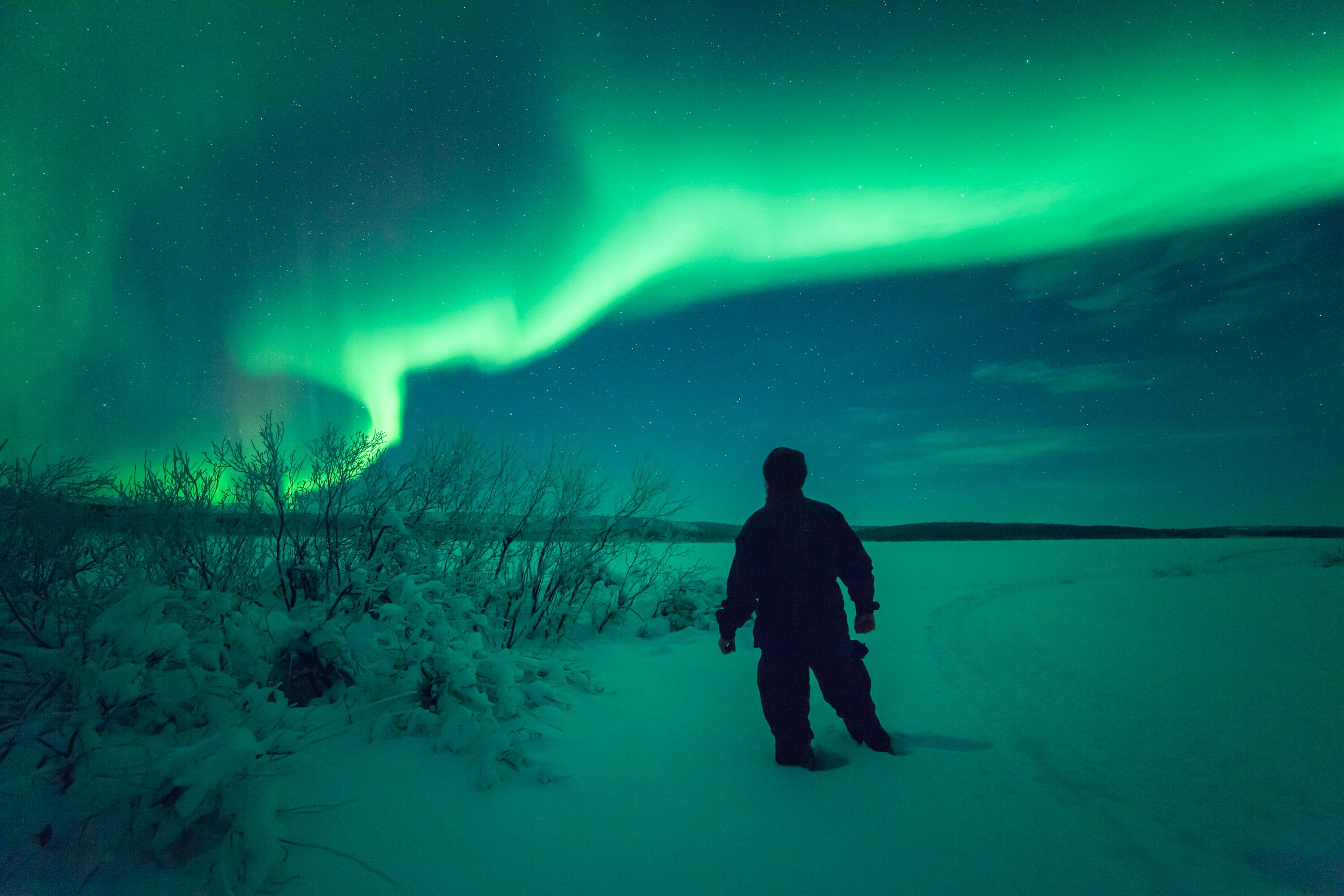 Man walking in the snow beneath the Northern Lights