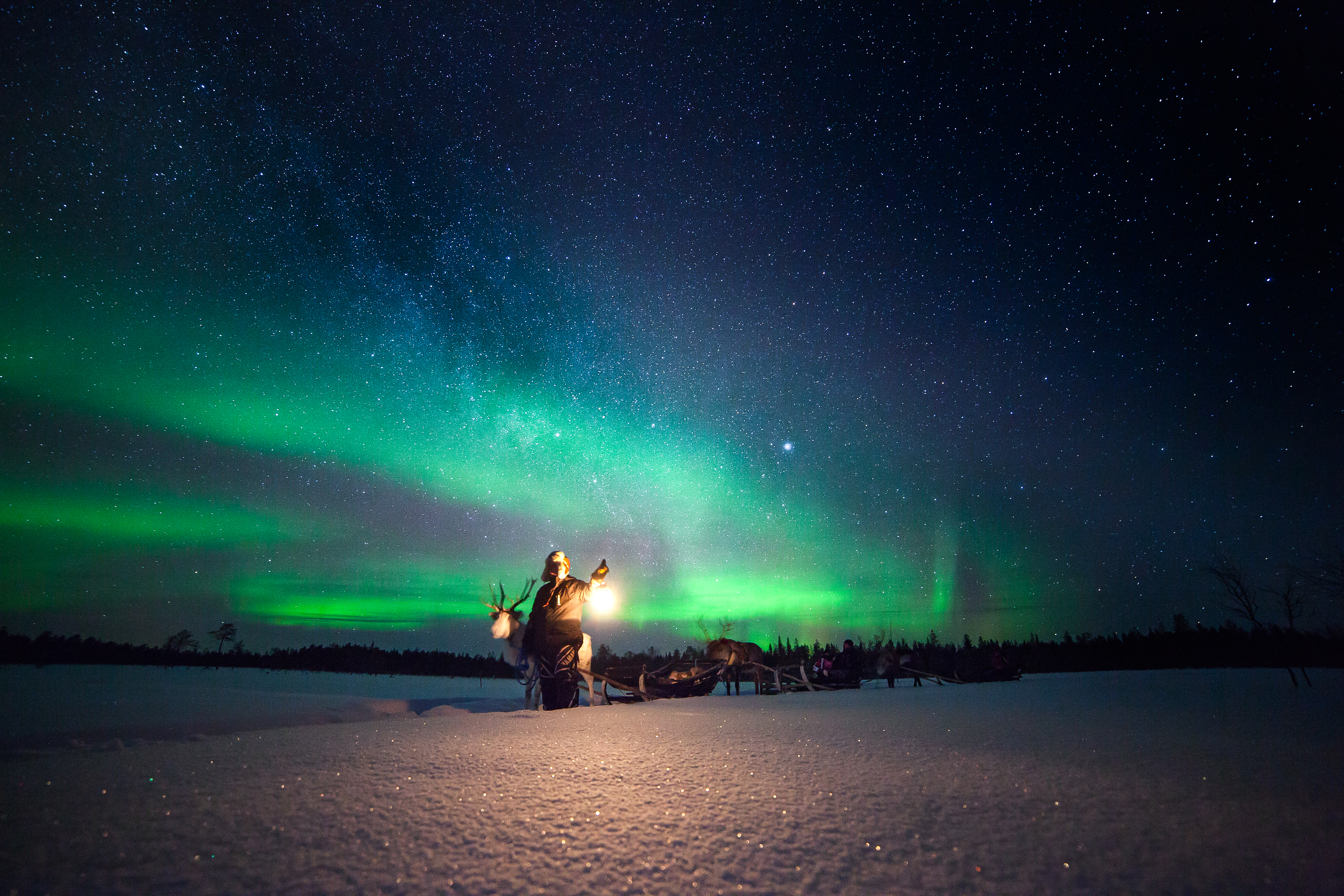A Sami herder leading a line of reindeer-pulled sleighs across Lapland's frozen tundra
