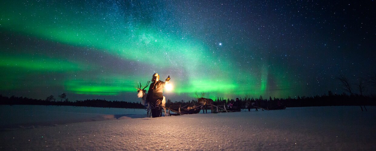 A Sami herder leading a line of reindeer-pulled sleighs across Lapland's frozen tundra