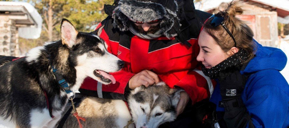 Husky sledding makes romantic winter getaways unique