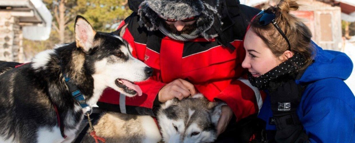 Husky sledding makes romantic winter getaways unique