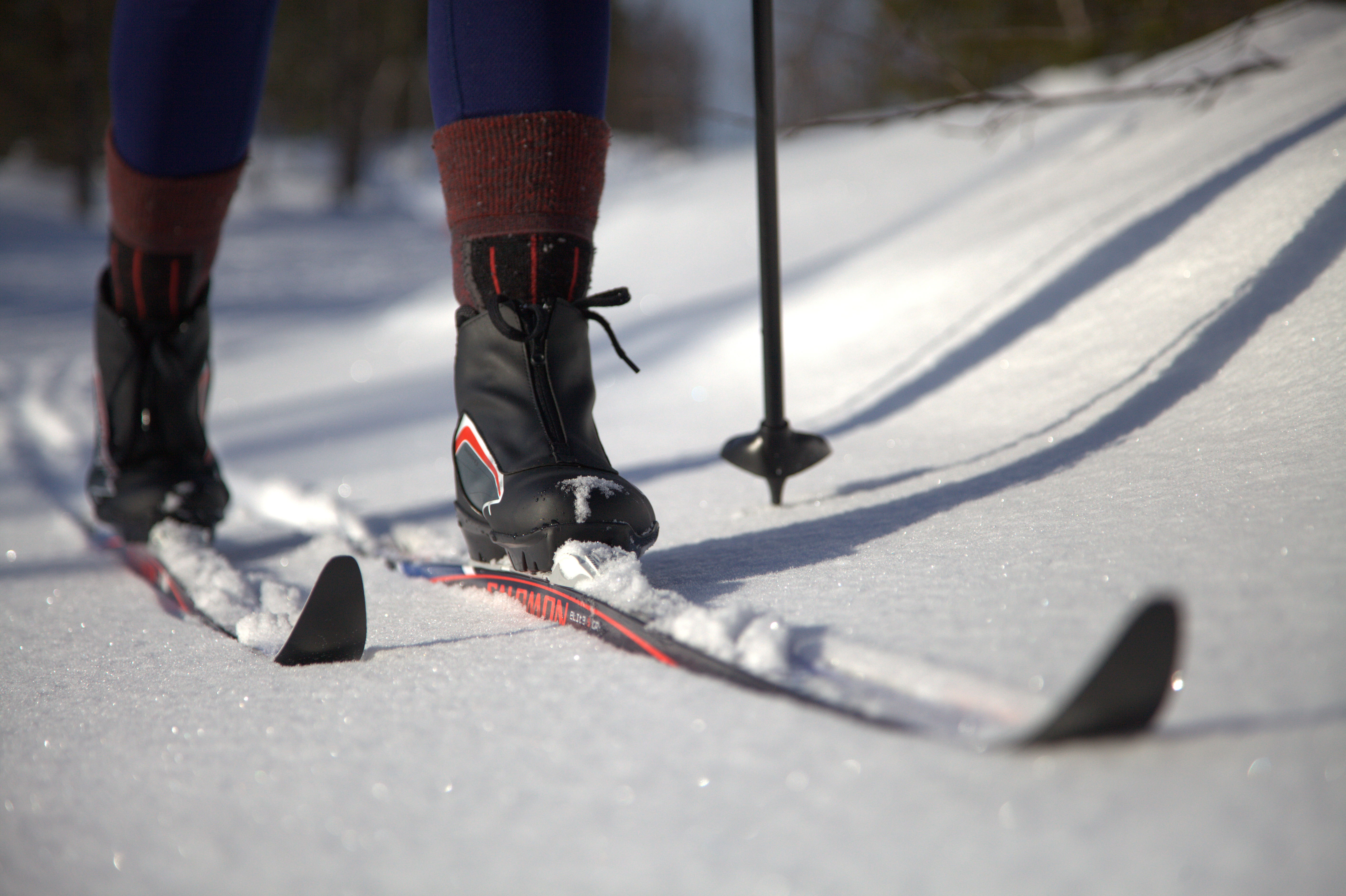 Cross-country skiing in Lapland