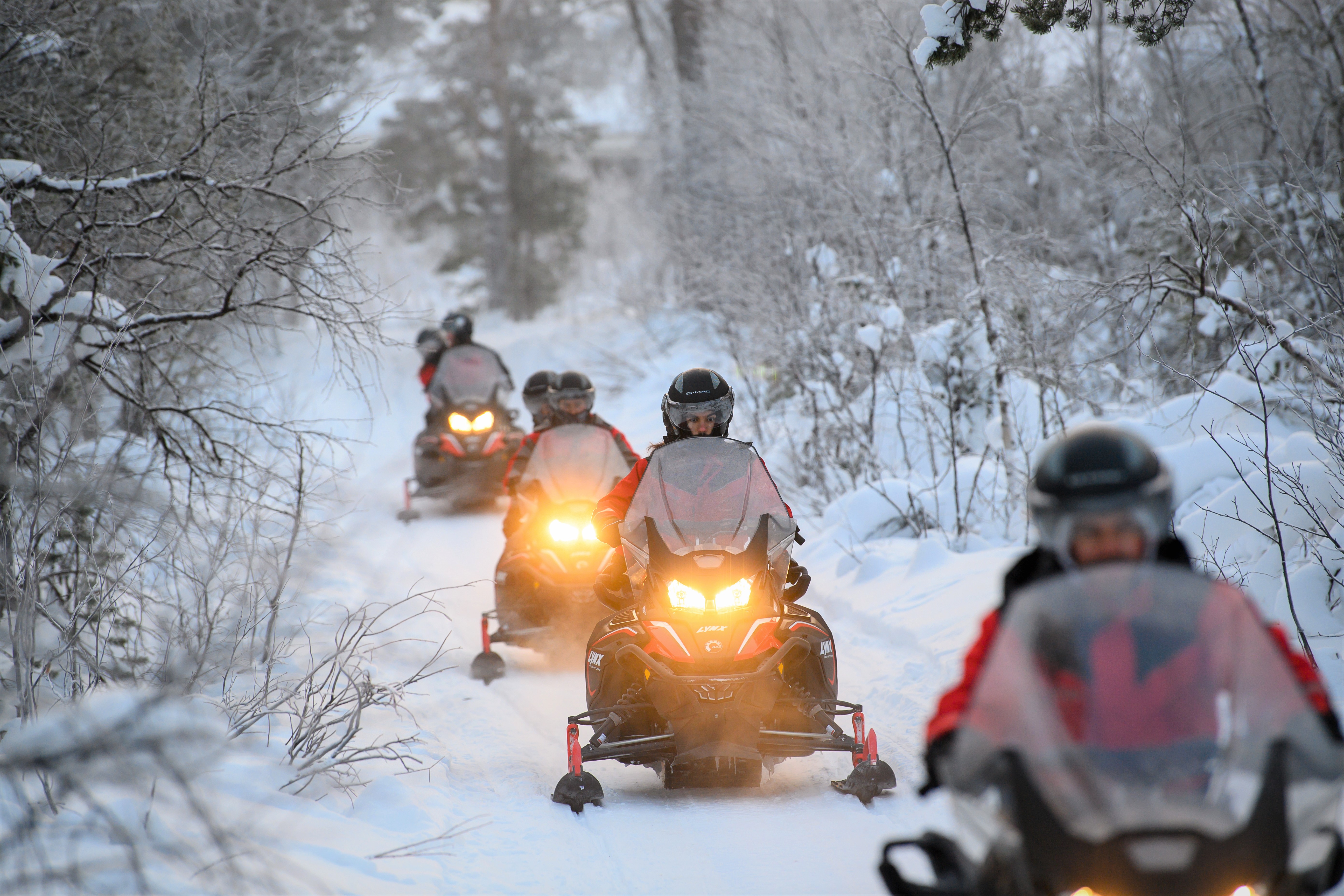 Snowmobiling in Lapland