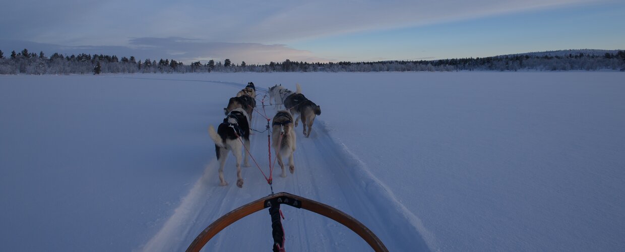 A sled being pulled across a frozen lake by a team of husky dogs