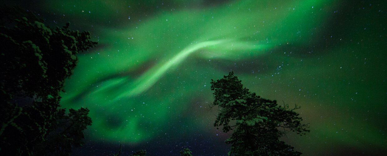 The Northern Lights appearing above a snow-covered horizon
