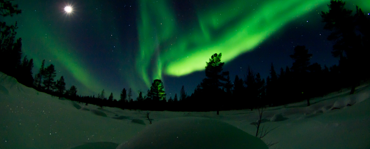 The Northern Lights above a snow-covered landscape in Finnish Lapland